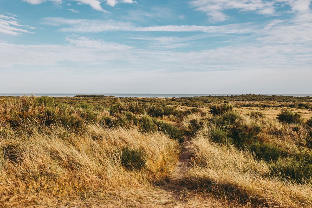 Vanaf de parken en de vakantiehuizen is de natuur dichtbij en kun je genieten van  rust en ruimte. 🙏🏻

#terschellingrecreatie #terschelling #natuur