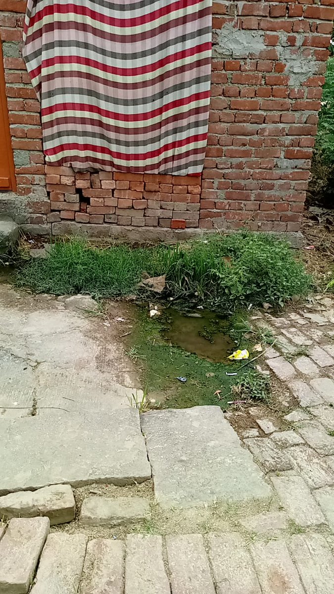 rohitmi01986733's tweet photo. @DM_Bhadohi @Sundram95665409 @myogiadityanath @myogioffice @CMOfficeUP @dgpup @adgzonevaranasi @IgRangeVaranasi @digmirzapur @gaurangrathi @001CHAMBAL_VALE @Arun10_06_1984 @BansalBundi @BrijForVikas महोदय आशा करता हूं कि आप इस प्रकरण को संज्ञान में ले लिया होगा और उचित कार्यवाही का आदेश भी कर दिया होगा,अगर आप के द्वारा जांच प्रक्रिया शुरू हो गया होगा तो आपका बहुत आभार व्यक्त करता हूं,महोदय क्योंकि इन दबंगों द्वारा मुझे रोज परेशान किया जा रहा है अब आपसे ही न्याय की उम्मीद है https://t.co/IMuZjjXzNE