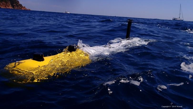 Demostren per primer cop que l’aprenentatge per reforç profund (reinforcement learning) permet als vehicles autònoms i robots submarins localitzar i fer un seguiment acurat d’objectes i animals marins que es troben sota l’aigua. (Foto: VICOROB)