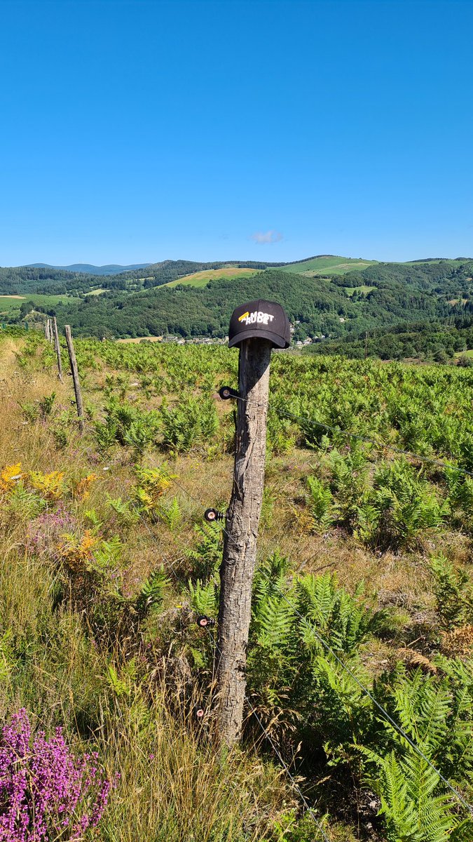 Cyrus14 | GG tweet media