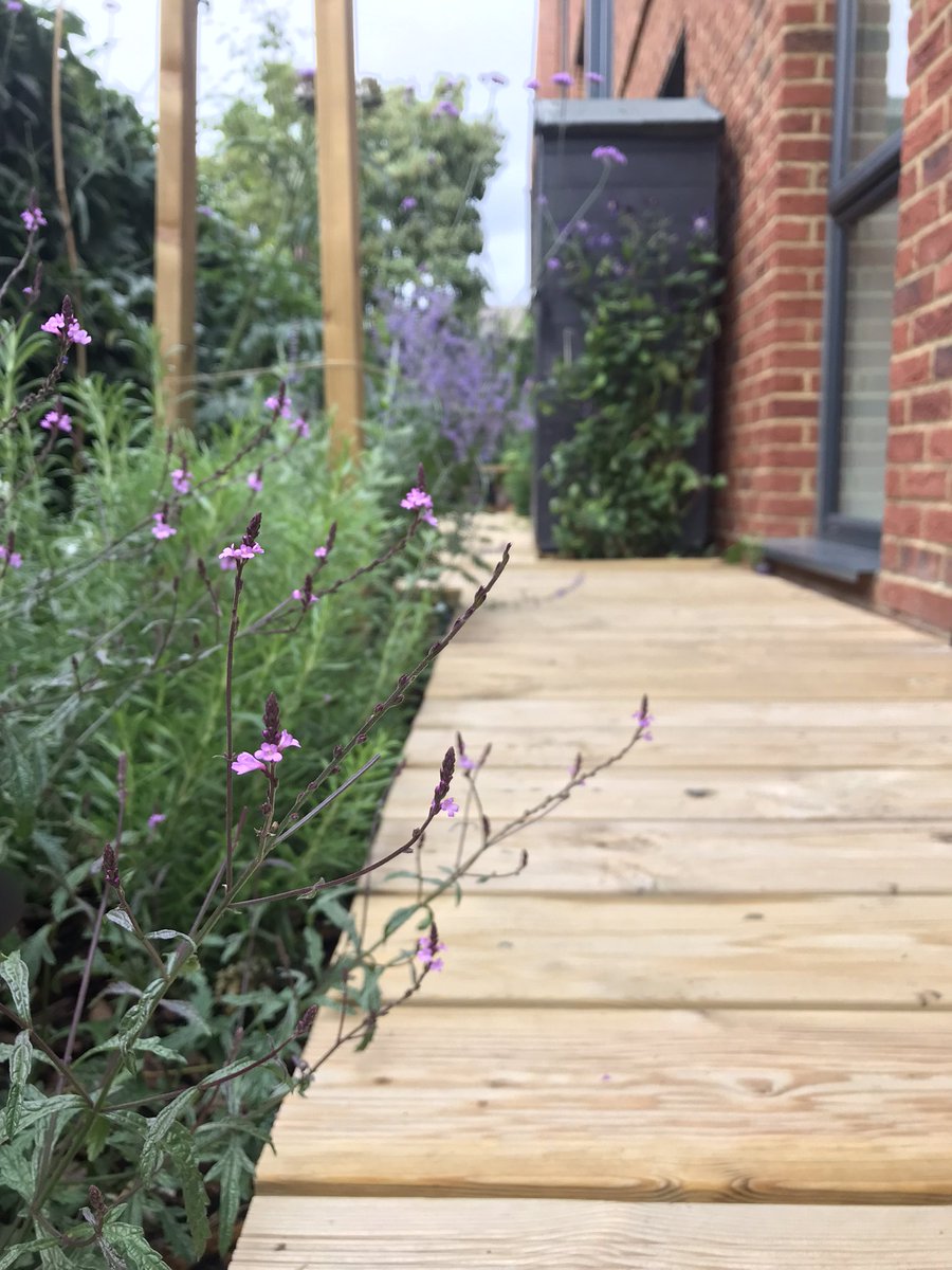 OhShaun's tweet photo. @GuloThoughts Just saw you on the TL and was reminded to come back to this boardwalk love sesh ha. Garden is a bit more established now! https://t.co/9Y9henOUrh