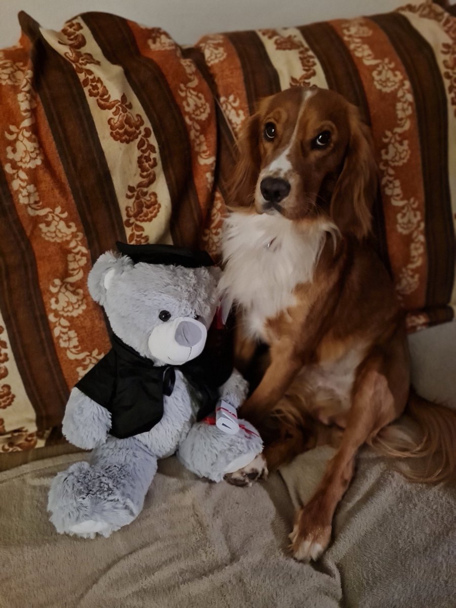 Oliver & Paddy tweet media