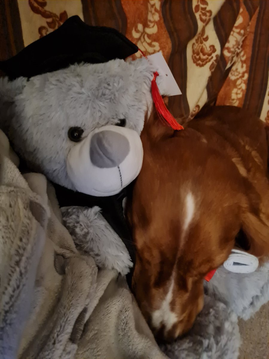 Oliver & Paddy tweet media