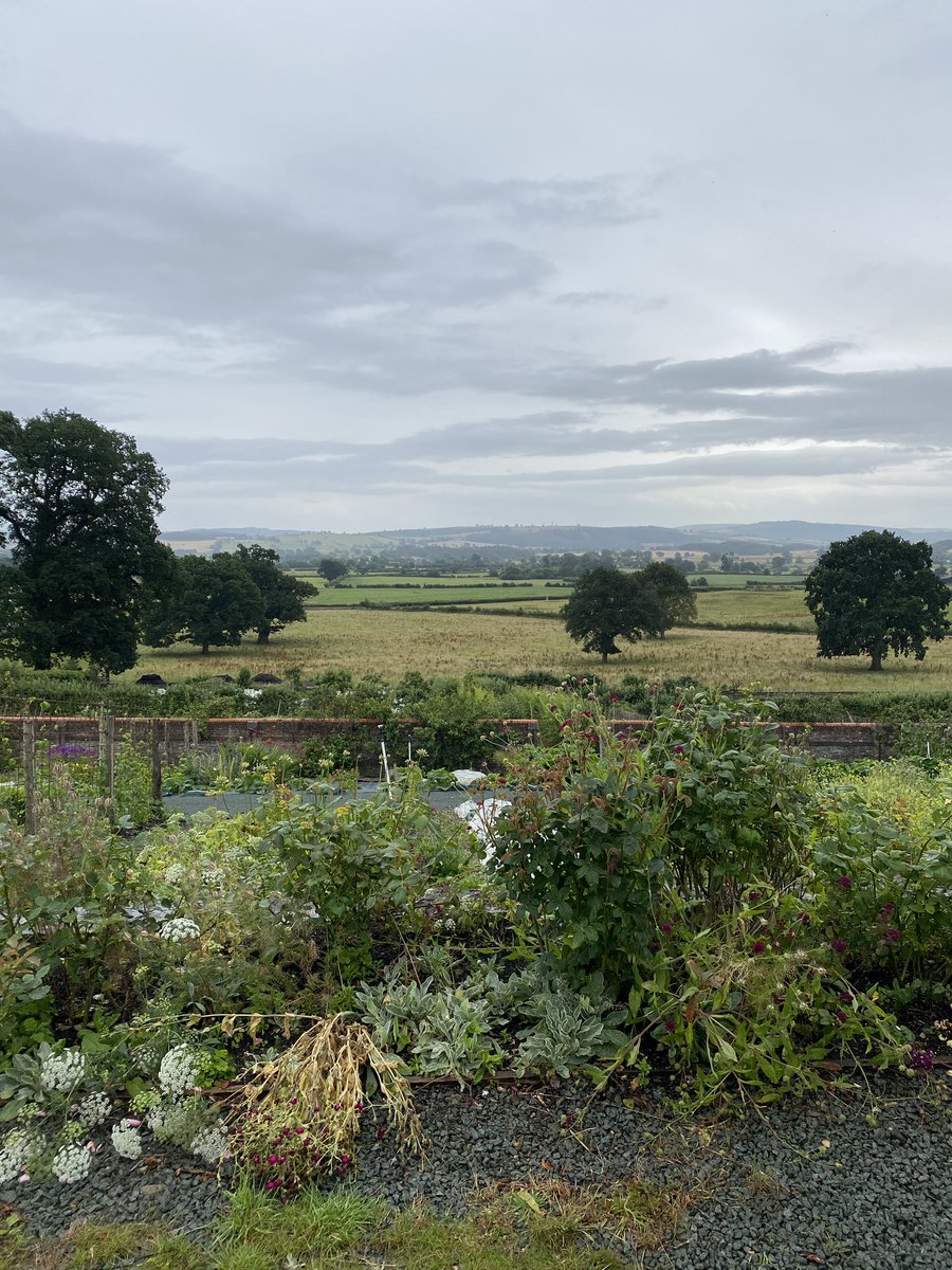 CLAMidlands's tweet photo. Time for a #TBT to last week at the stunning #linleyhall walled garden. Members were able to enjoy a tour of the wonderful kitchen garden, as well as canapés made from the garden produce 🪴
#clamidlands #claevents https://t.co/UvIJz9hiCk