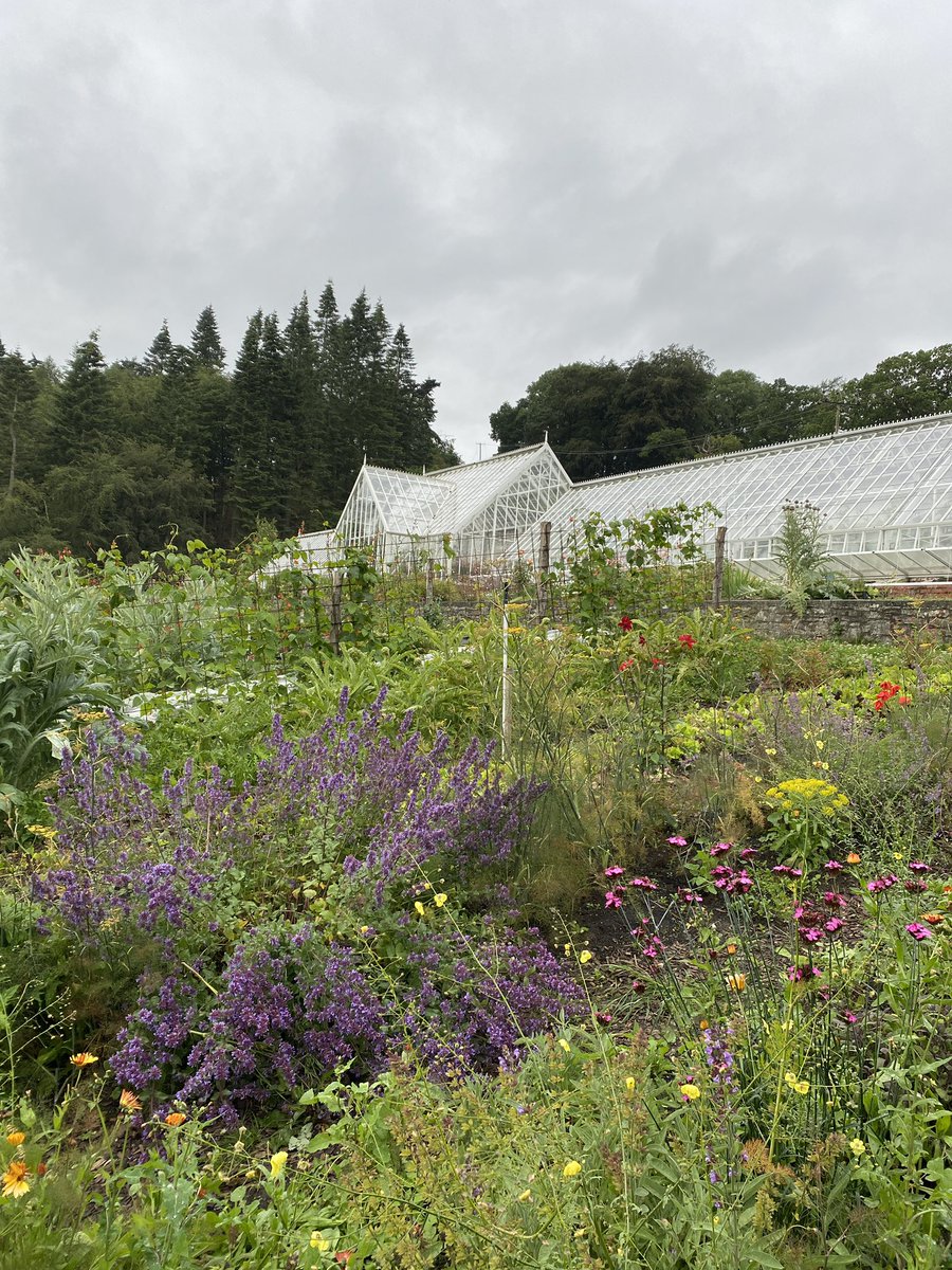 CLAMidlands's tweet photo. Time for a #TBT to last week at the stunning #linleyhall walled garden. Members were able to enjoy a tour of the wonderful kitchen garden, as well as canapés made from the garden produce 🪴
#clamidlands #claevents https://t.co/UvIJz9hiCk