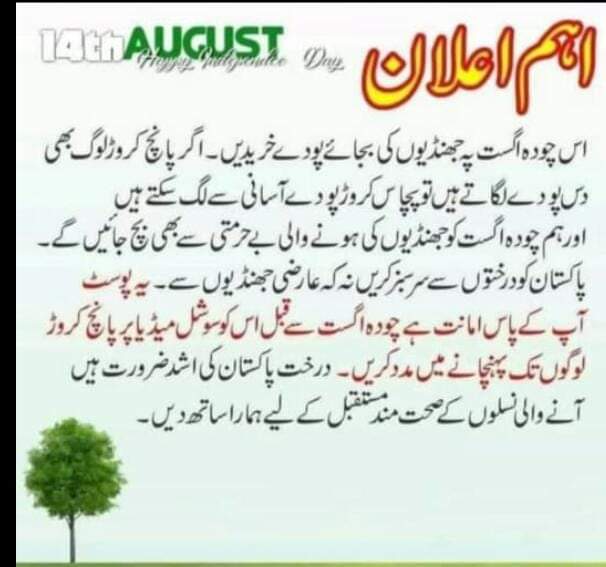 Sher Zaman (@sherzam73079728) on Twitter photo 