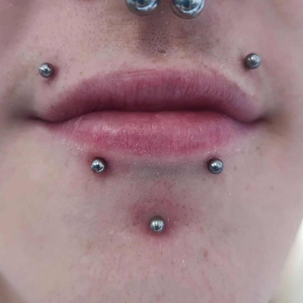 DaisyPinkushion's tweet photo. Remember the #snakebites and #lowbret from a few weeks ago?
Swelling has gone down (almost). Artwork is complete.
Gorgeous triangle!
#snakebitespiercing #lowbretpiercing #madonnapiercing #monroepiercing #facialartwork #artpiercing #piercedface #pierce⦠https://t.co/TVsOqiZh97 https://t.co/iZXibvbNaU