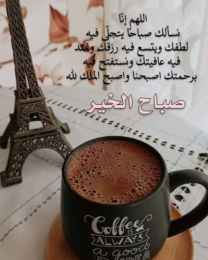 m-nk (@mohammednk1965) on Twitter photo 