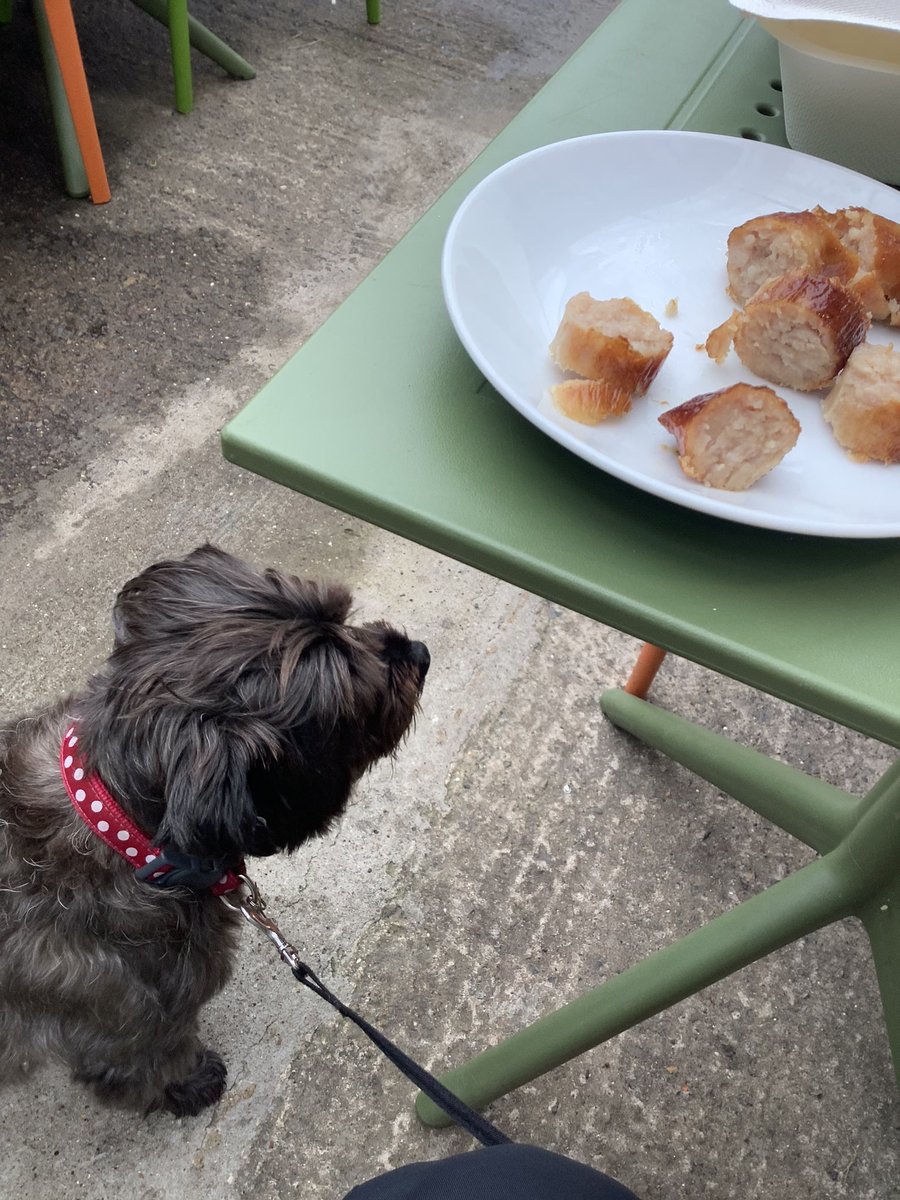 To celebrate my first visit to the Cafe <a href="/springmountgc/">Springmount Garden C</a> Mum has bought me a sausage. It’s delicious 😋😋