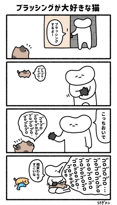 ブラッシングが大好きな猫 