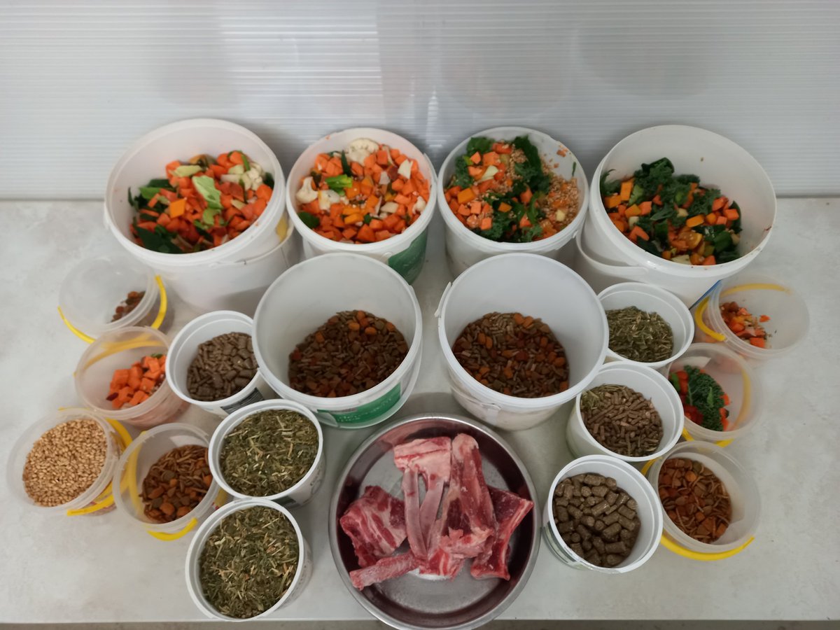 What's for dinner?
With herbivores, omnivores, carnivores and insectivores to feed, the daily food preparation is an impressive feat! We use only the best, fresh, high quality nutrious food for our beautiful animals. 

#zoo #wildlife #sanctuary #zookeeper #conservation