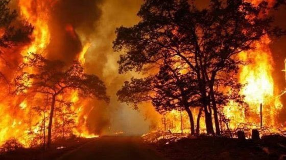 L’Italia brucia e il governo dimentica di spendere risorse per prevenire incendi: che fine hanno fatto i 40 milioni assegnati da Draghi/Carfagna alle regioni per le aree interne per il 2022 (art.4 comma 2 del DL incendi 121/21) ?
E  il riparto degli altri 40 milioni per il 2023?