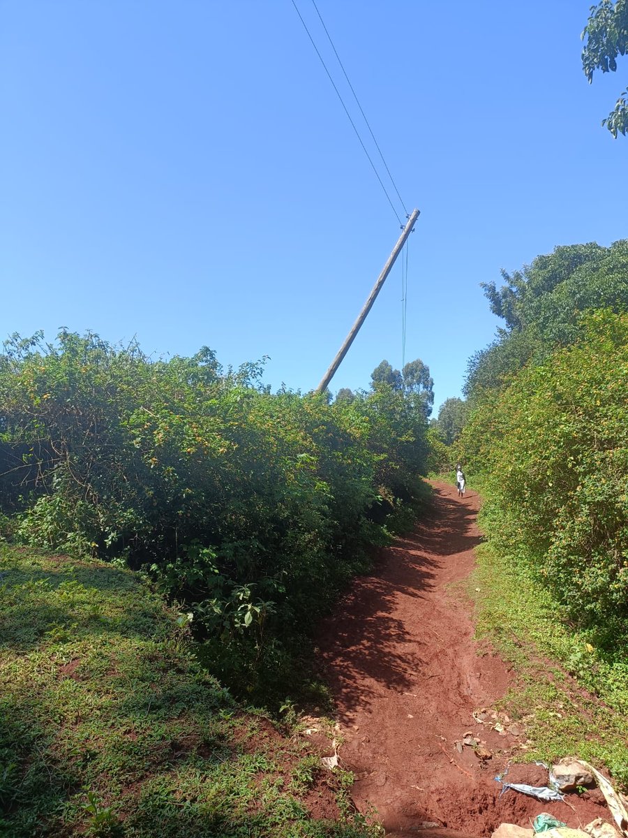 Tito Arunga tweet media