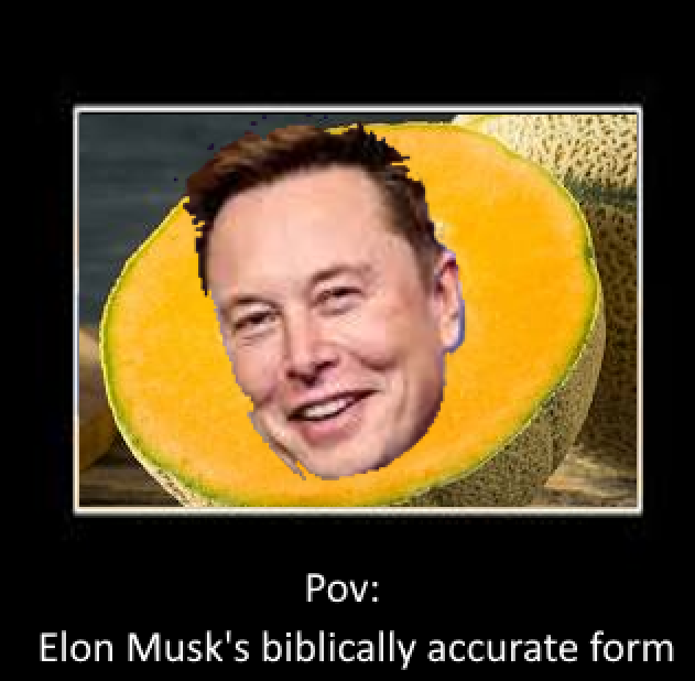 penguSRDEV's tweet photo. @elonmusk #Memes #twittermemes https://t.co/rhIdArmMYv
