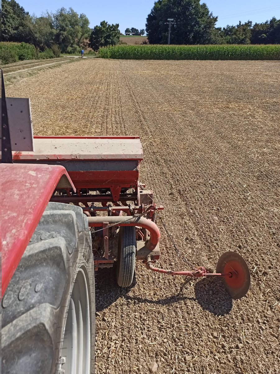 cedricows's tweet photo. Le tracteur sans cabine, le vieux semoir et c'est partie pour semer les #couverts. Moha - trèfle d'Alexandrie, une première, un test #zonevulnerable #semis #tarn #fragtw https://t.co/qmSJv0ineQ