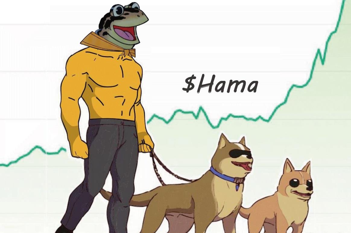 Hama #HAMA tweet media