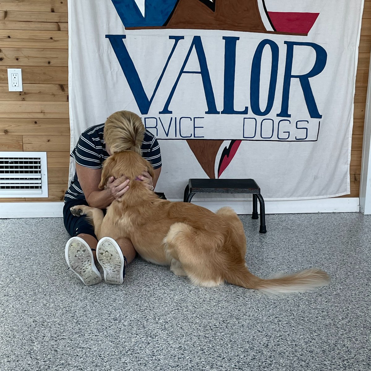 Valor Service Dogs tweet media