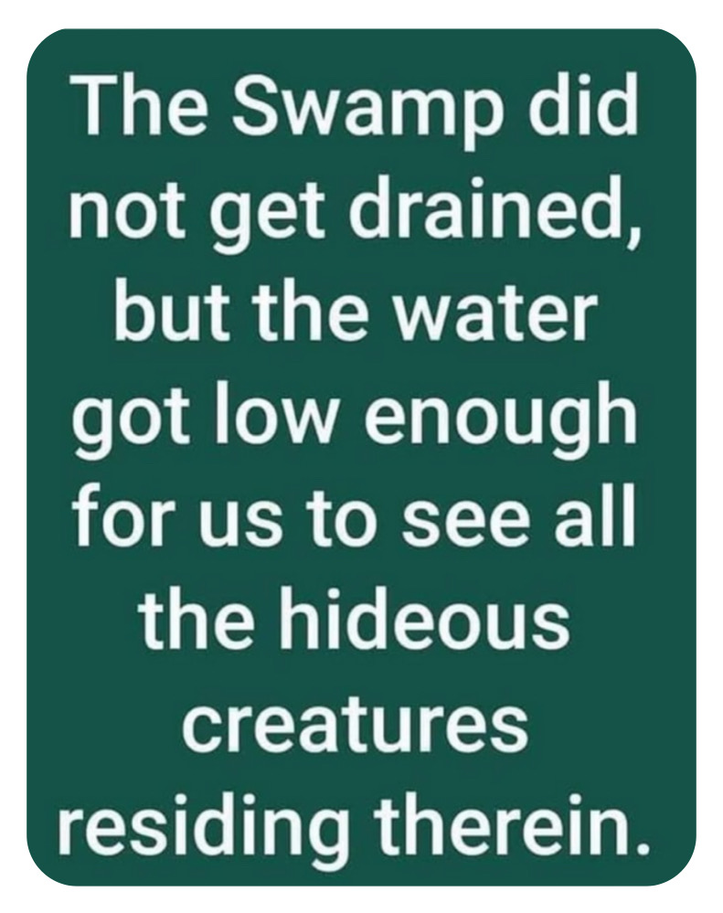 SweetPeaBell326's tweet photo. Thursday’s Fast Fact. https://t.co/NTmUNkwwxj