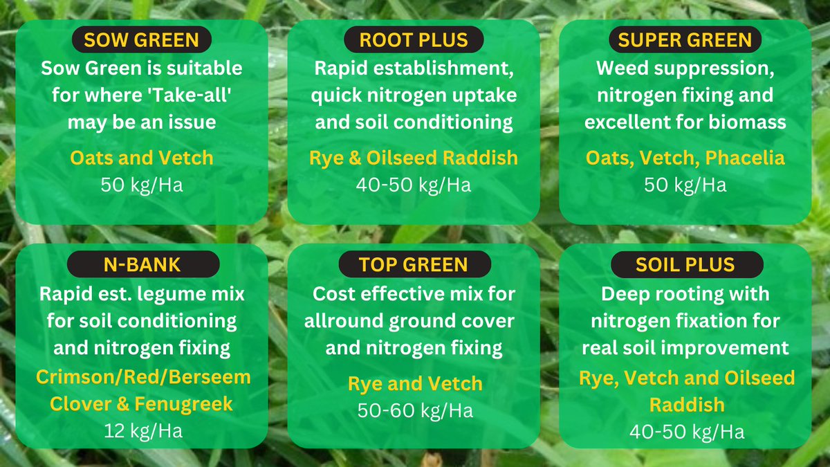 6 of our popular #CoverCrop mixtures for a range of different situations. See the full range of Cover Crop options here bit.ly/CvrCrops Are you maximising the benefits of cover crops? <a href="/BeckiiGibbs/">Beckii Gibbs</a> <a href="/pennock66/">Ray</a> <a href="/jogunes1/">@JoGunes</a> <a href="/Aland1978/">Alan Davies</a> <a href="/BeckyCrocombe/">Becky Crocombe</a> @AaronCantrill1 <a href="/Tula205/">James  Hood</a>