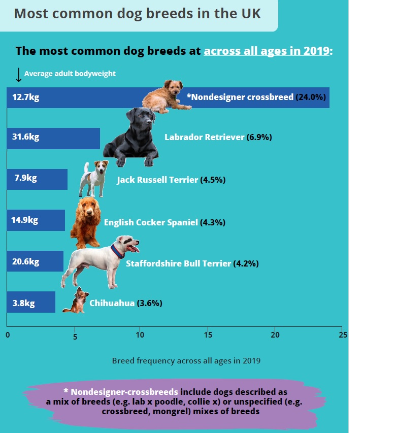 VetCompass tweet picture