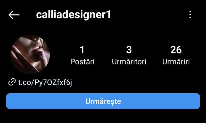 Report these accounts on insta pls 😔, they are not mine. PS: mine is "calliadesignerofficial" https://t