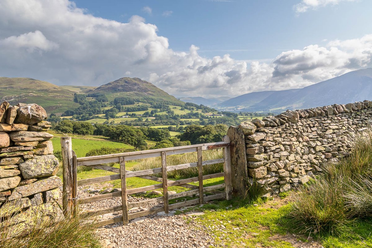 andrewswalks's tweet photo. Four from yesterday's Loweswater walk, which is now on my site here:
https://t.co/jBRNsQcjmt https://t.co/etbPv0Vgf7