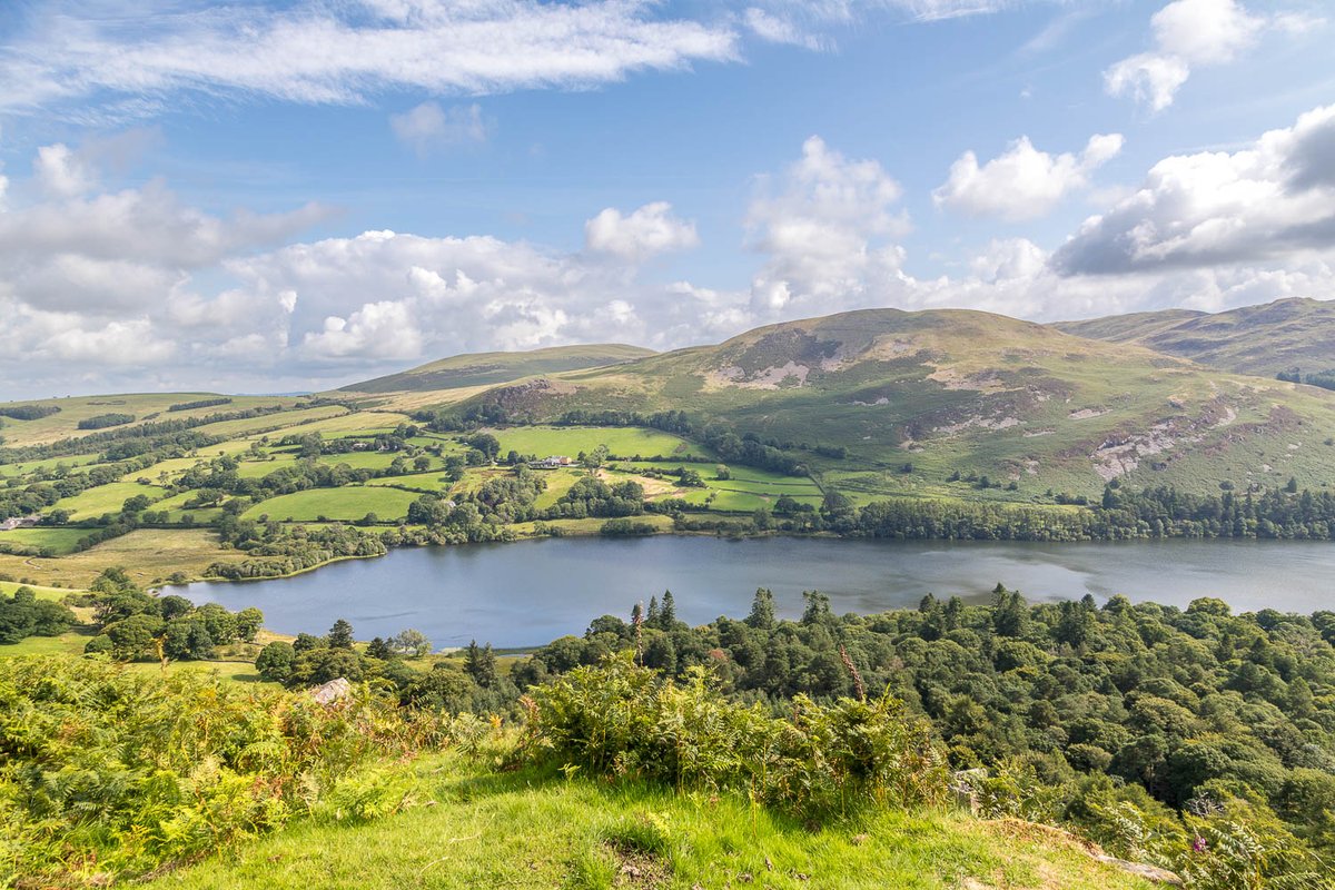 andrewswalks's tweet photo. Four from yesterday's Loweswater walk, which is now on my site here:
https://t.co/jBRNsQcjmt https://t.co/etbPv0Vgf7