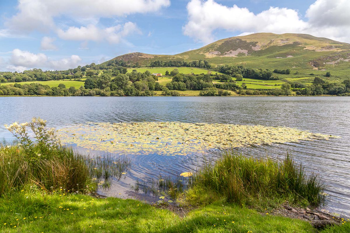 andrewswalks's tweet photo. Four from yesterday's Loweswater walk, which is now on my site here:
https://t.co/jBRNsQcjmt https://t.co/etbPv0Vgf7