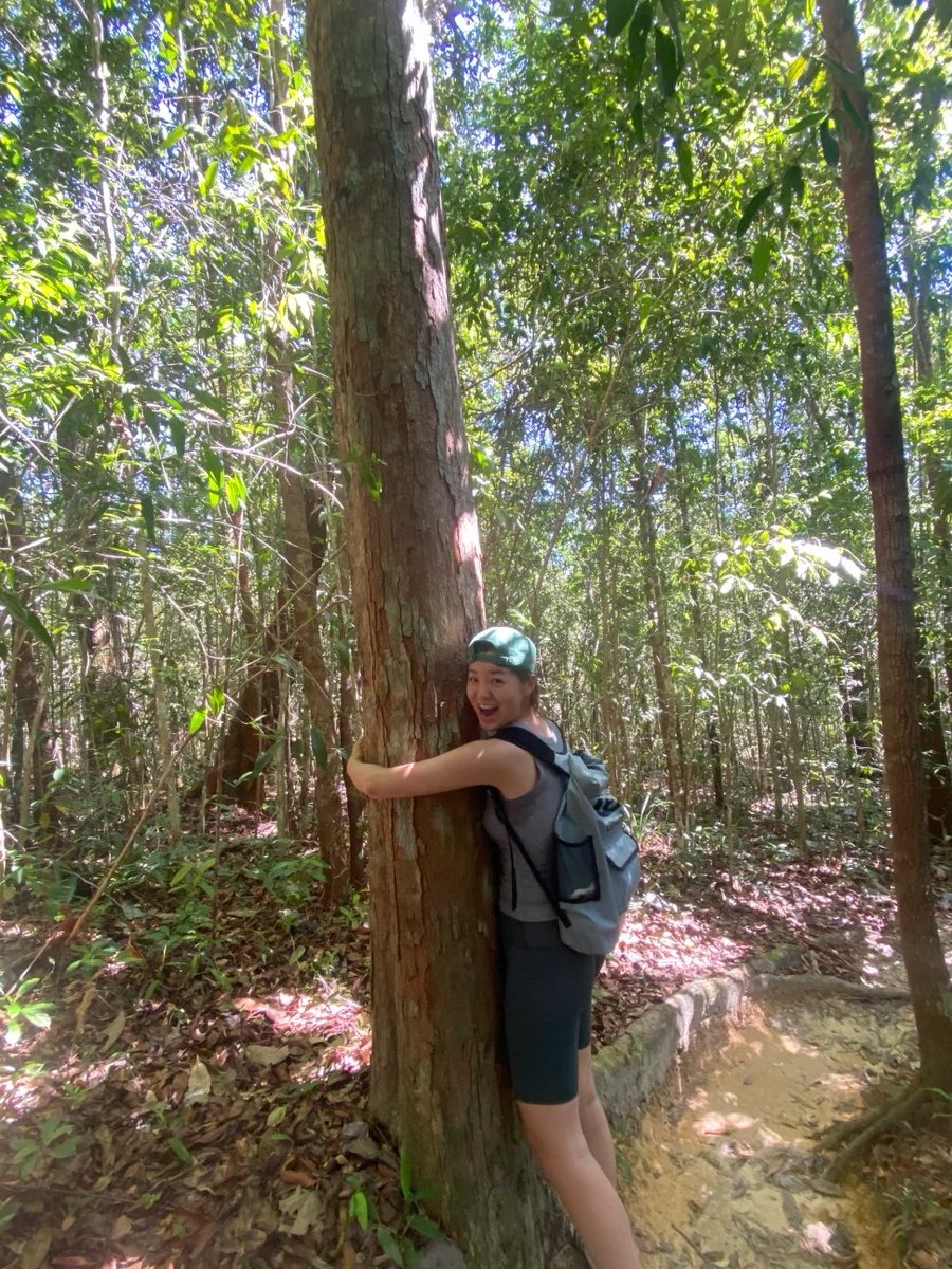 Nancyy2296's tweet photo. My tree friend, to introduce you, I will visit regularly, this is a national park in the United States.我的树朋友，向大家介绍一下，我会定期拜访，这是在美国的国家公园。＃w #nsfwtwt  #EgayPH #SamsungUnpacked ＃q https://t.co/3BwTIXkhNk
