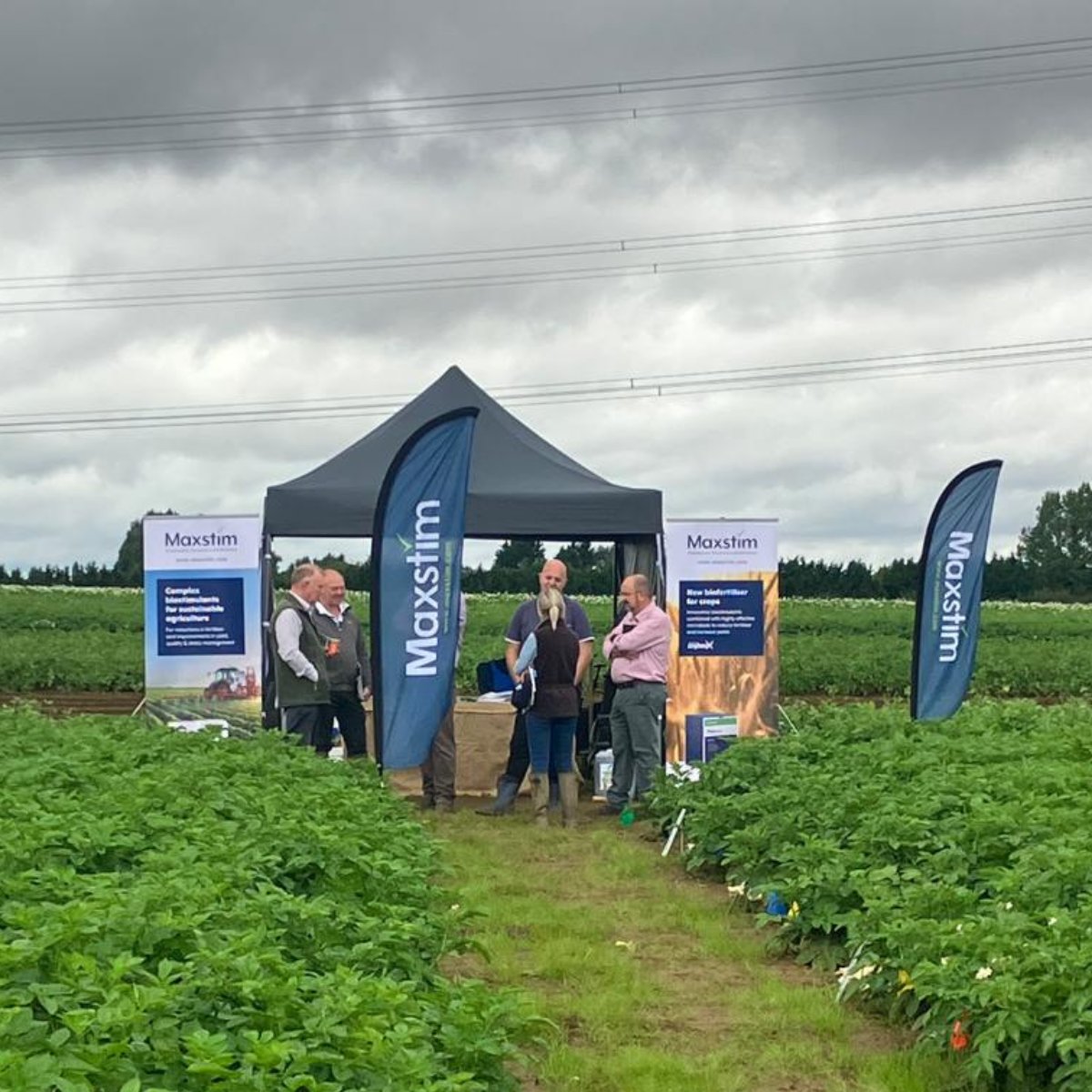 Maxstim (@maxstimltd) on Twitter photo 🌱 Exciting day at the Whole Crop Marketing Annual Trials Day! Our team is thrilled to showcase the power of complex biostimulants for potato growers.
If you're here, we'd love to have a chat with you. #WCMTrialsDay #PotatoGrowing #Biostimulants #Farming #Agriculture <a href="/wcmpots/">Whole Crop Marketing</a> 🌱 Exciting day at the Whole Crop Marketing Annual Trials Day! Our team is thrilled to showcase the power of complex biostimulants for potato growers.
If you're here, we'd love to have a chat with you. #WCMTrialsDay #PotatoGrowing #Biostimulants #Farming #Agriculture <a href="/wcmpots/">Whole Crop Marketing</a>
