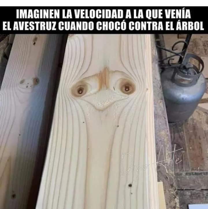 Inmaculadacode 🇪🇸 ⚖️ tweet media