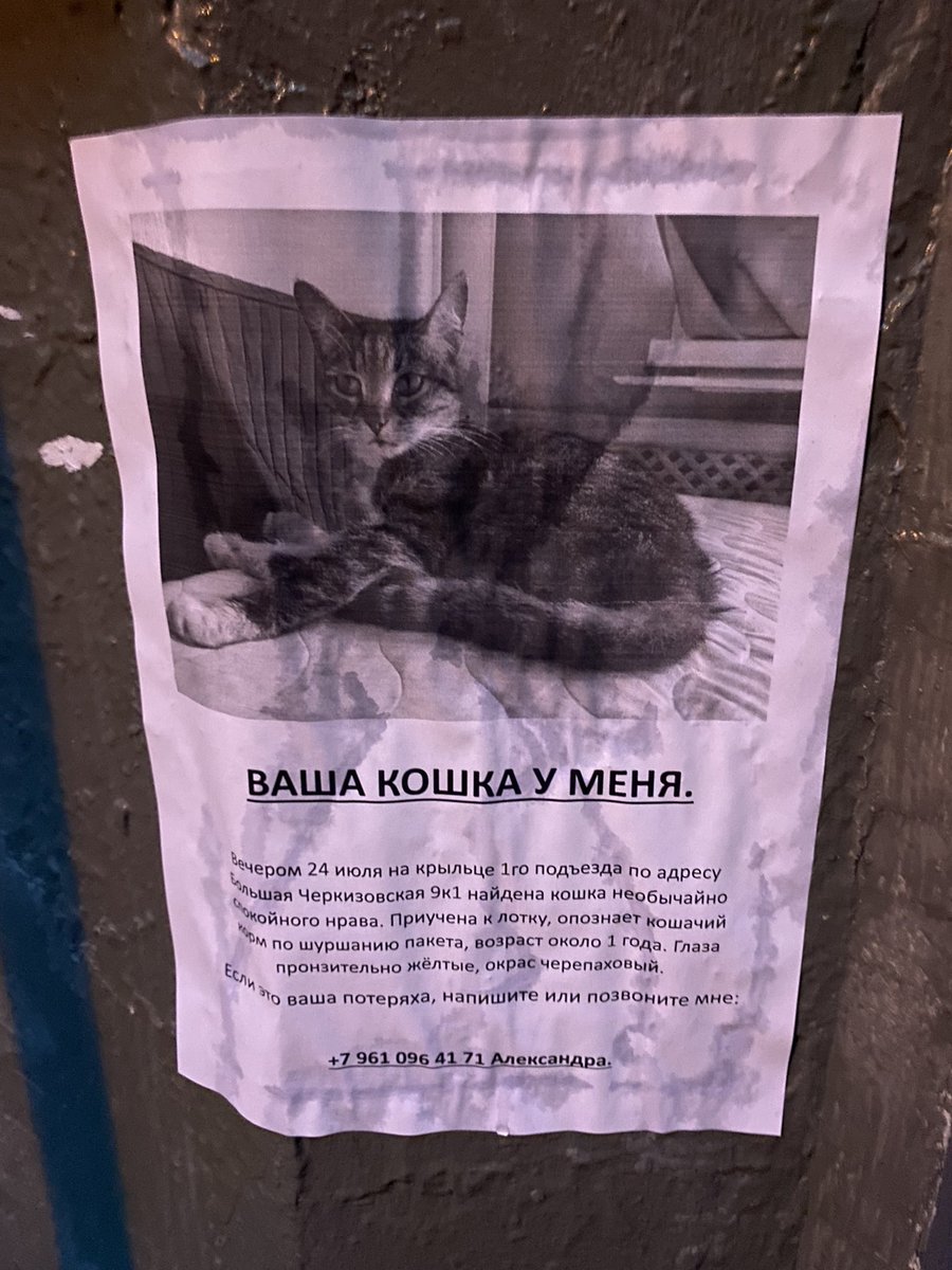 ΛΝØFF tweet media