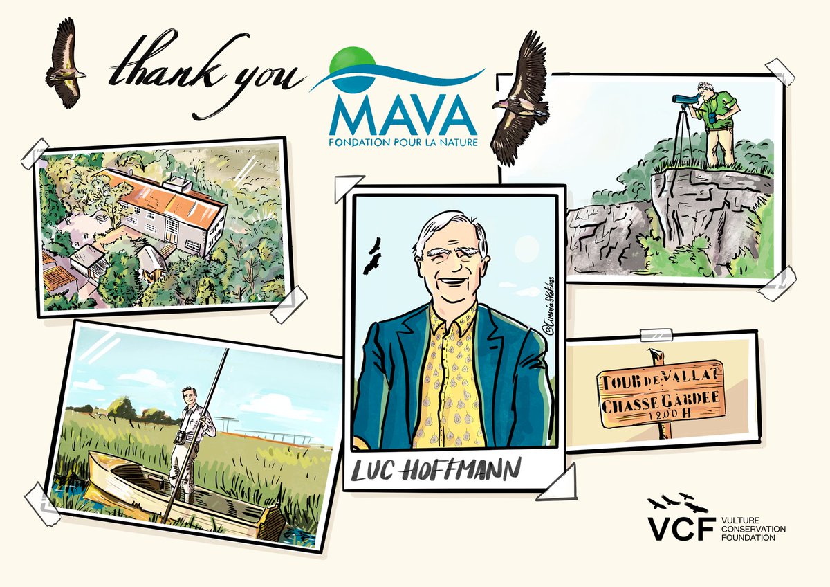 CireniaSketches's tweet photo. Thrilled to share this tribute from @4Vultures to #MavaFoundation and the exceptional Luc Hoffman 's life and dedication to #conservation
Huge thanks! 🩵 https://t.co/UFv4DNIb8s