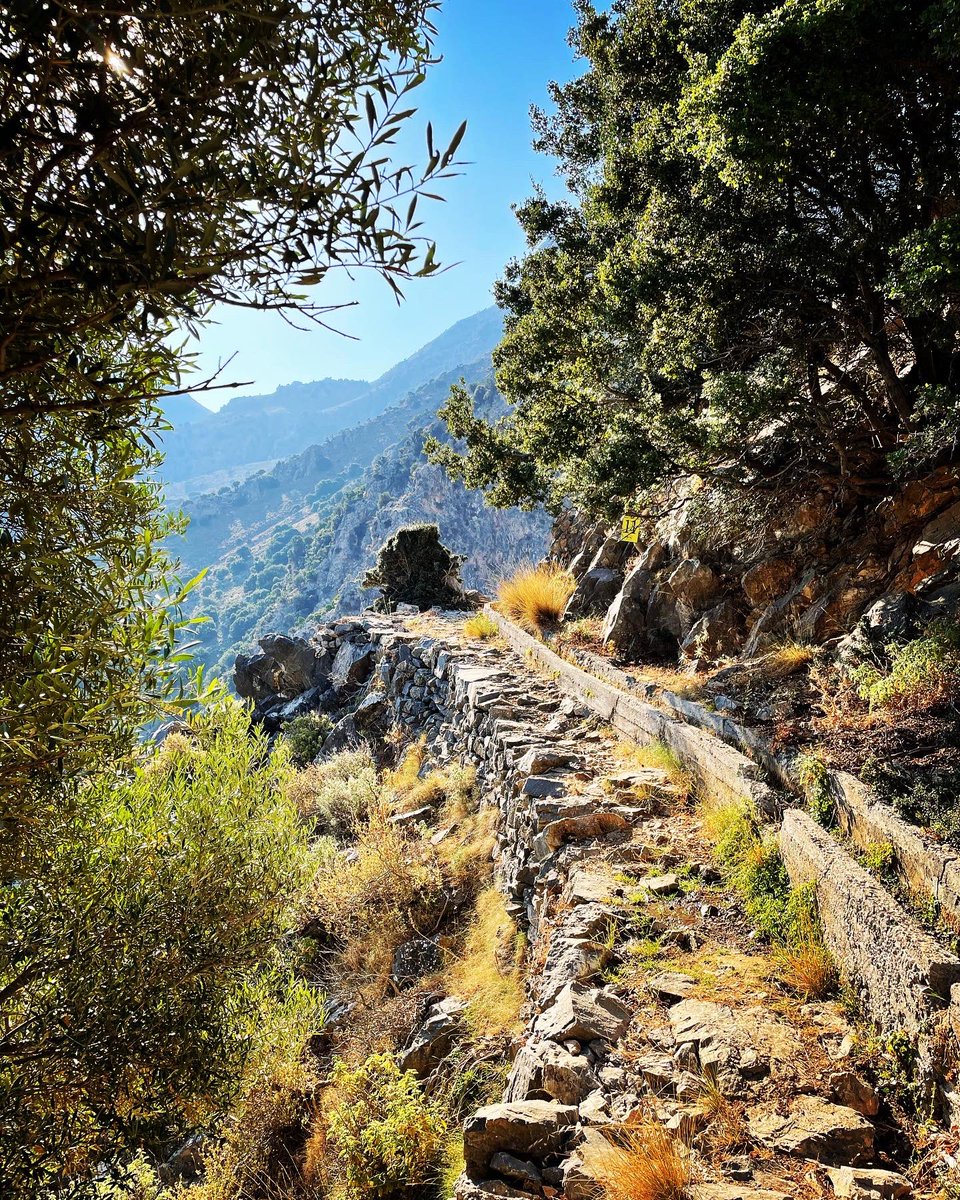 steventagle's tweet photo. The Mesonas Gorge near Kavousi, Crete, with a narrow cobbled stone pathway dating from the Venetian period that winds along the edge of the gorge. #lasithi #lasithicrete #cretenature #creteisland #cretegreece https://t.co/M5XIC65Brc