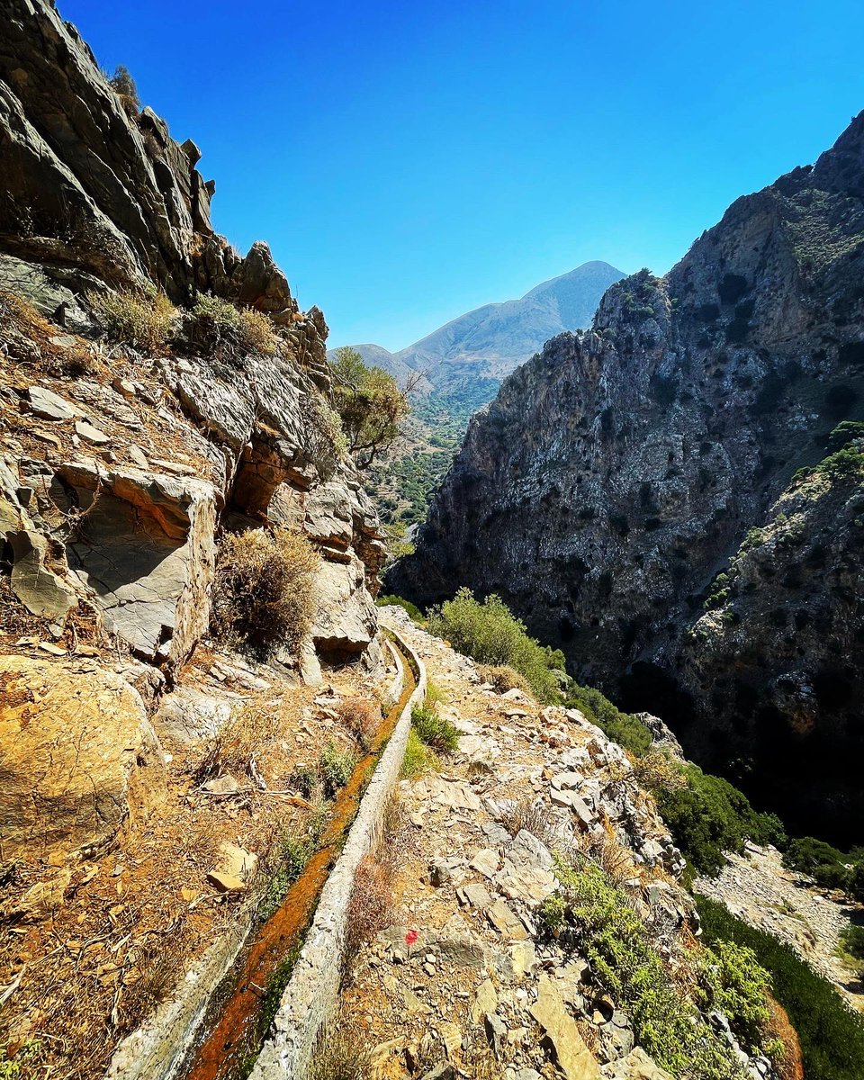 steventagle's tweet photo. The Mesonas Gorge near Kavousi, Crete, with a narrow cobbled stone pathway dating from the Venetian period that winds along the edge of the gorge. #lasithi #lasithicrete #cretenature #creteisland #cretegreece https://t.co/M5XIC65Brc