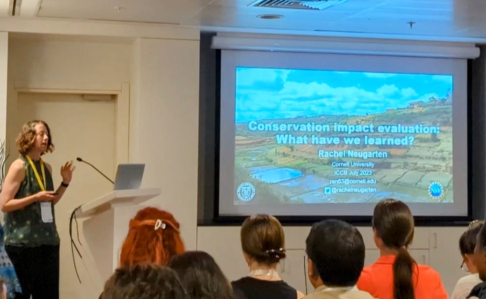 Amanda M. Adams tweet media