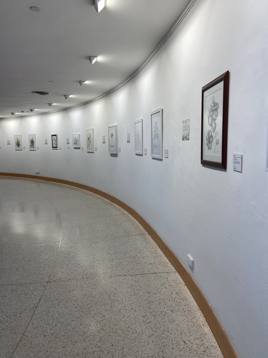 selfcircled's tweet photo. นิทรรศการที่น่าสนใจ @ BACC #baccpresents

.Botanical Art Thailand 2023
ผนังโค้ง ชั้น 3-5, วันนี้~6 Aug

.EARLY YEARS PROJECT #6: In A Cogitation
ห้องนิทรรศการหลัก ชั้น 7, วันนี้~13 Aug
#EYP6 #EYP #Earlyyearsproject6

*All exhibitions free entry. https://t.co/MOl4ddjEWF