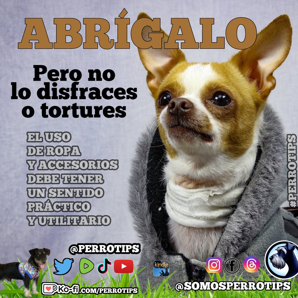 zonadecriptos's tweet photo. 🐾 ABRÍGALO, PERO NO LO DISFRACES O TORTURES 🐕
.
EL USO DE ROPA Y ACCESORIOS
DEBE TENER UN SENTIDO PRÁCTICO
Y UTILITARIO.
/
Post completo en el blog #perrotips
https://t.co/rbMRZVJAF4 https://t.co/wjfQbWh3W6