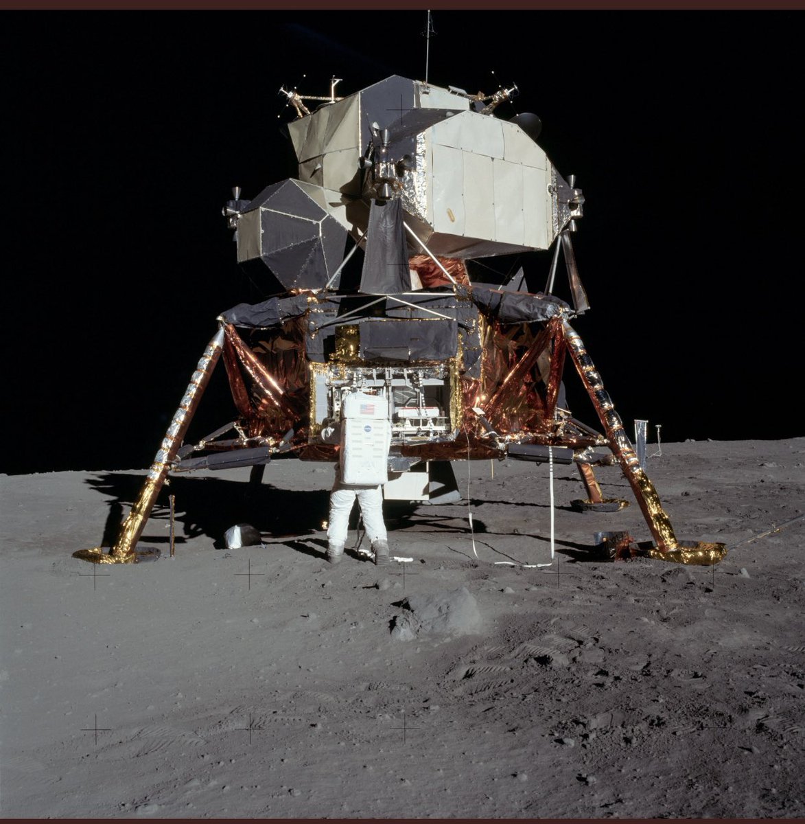 Bruce Stev tweet media