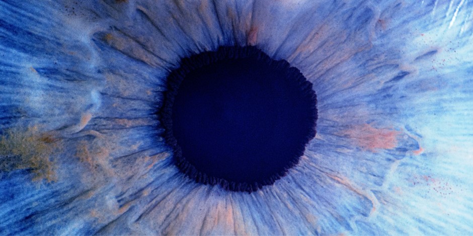 Mountview tweet media