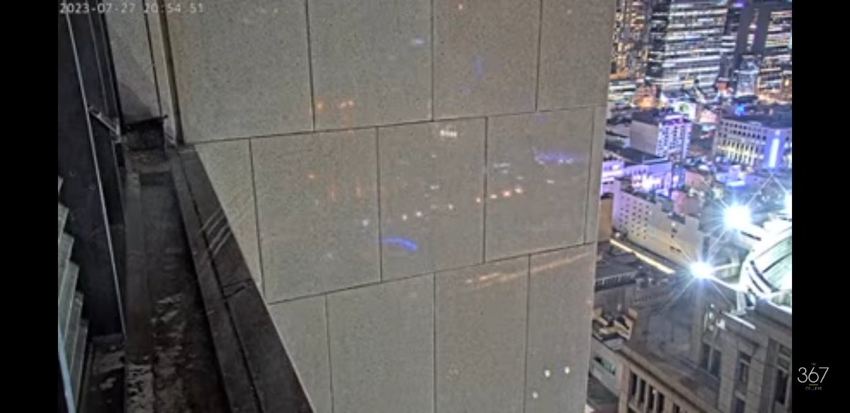 Teresa Boyd tweet media