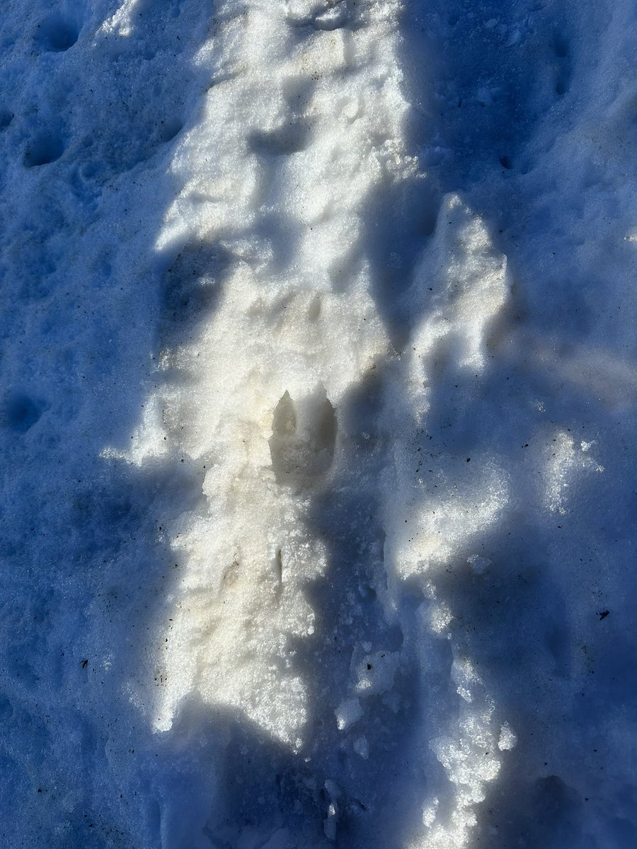 Kenton Cool tweet media