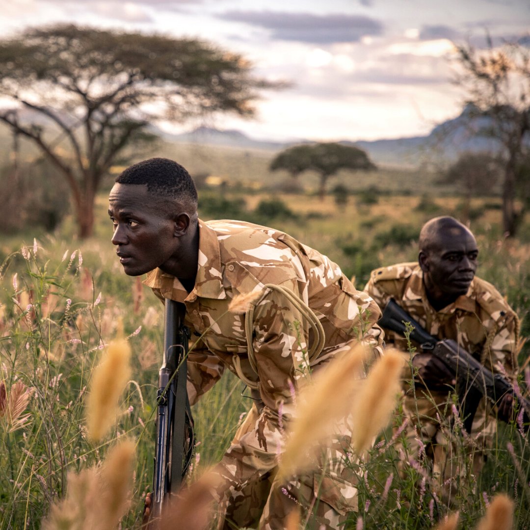 UNEP's tweet photo. Rangers all across the globe are tasked with the increasingly dangerous and difficult job of protecting wildlife from poaching.

This #WorldRangerDay, let’s celebrate the immense efforts and sacrifices of these environmental heroes. https://t.co/gAjRCQTwYv