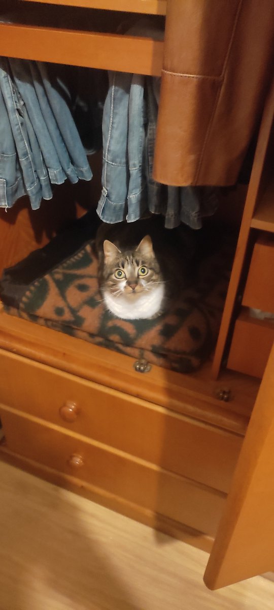 dr_stein's tweet photo. @ChumpHS @PlayHearthstone Found her! https://t.co/zVqH32EjNg