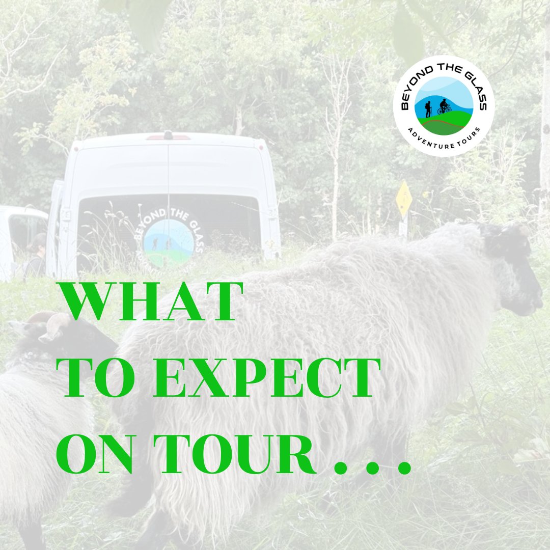 BTGToursIreland's tweet photo. We do so much more on our tours than just hike &amp; cycle... https://t.co/y8PTv2Qpeq