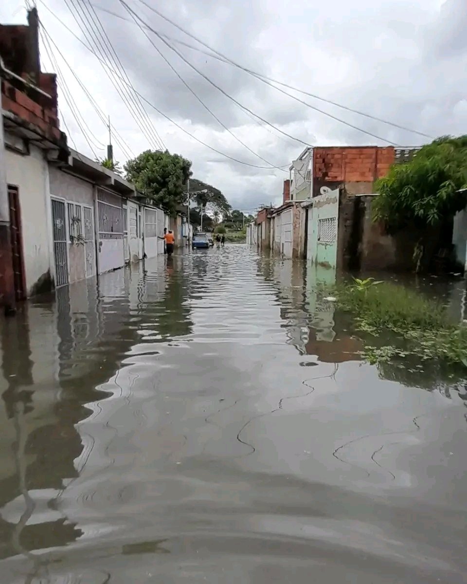 hernan_comunik's tweet photo. ¡Años esperando respuesta!

Así se encuentran los vecinos de la comunidad Aguacatal, al sur de Maracay. Piden a las autoridades indemnización de viviendas.

#Maracay #Aragua #Lluvias #Familias https://t.co/hR8UhSsigi