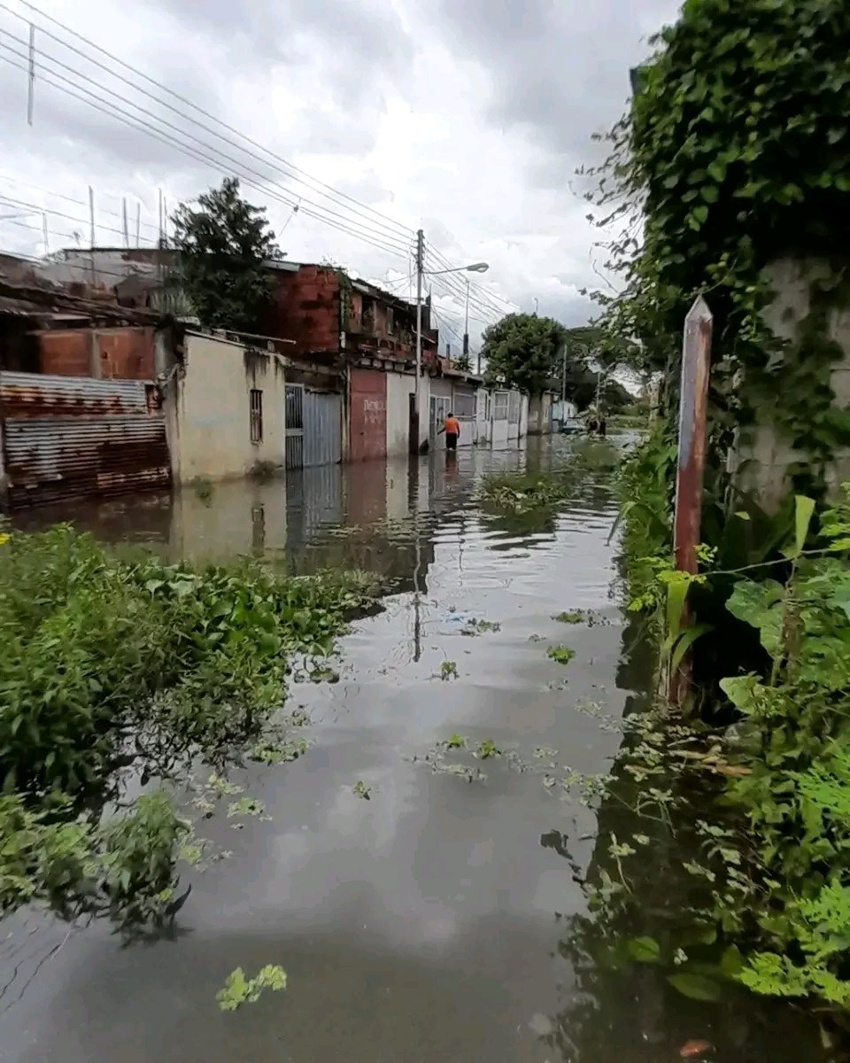 hernan_comunik's tweet photo. ¡Años esperando respuesta!

Así se encuentran los vecinos de la comunidad Aguacatal, al sur de Maracay. Piden a las autoridades indemnización de viviendas.

#Maracay #Aragua #Lluvias #Familias https://t.co/hR8UhSsigi