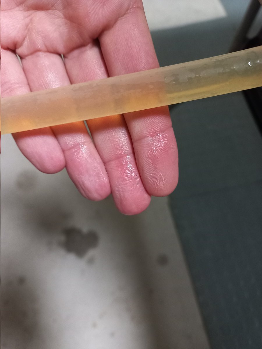 Alex Cook tweet media