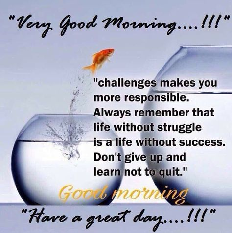 AlbertaGirl34's tweet photo. Good Morning Everyone 😊☕️😊☕️  Have A Terrific Thursday !!!!!!! https://t.co/96ERhxeFnh
