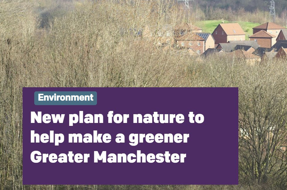 GM has started a new plan to help nature recover across the city-region. GMCA has been allocated around £250,000, from Department for Environment Food and Rural Affairs (Defra), to develop its Local Nature Recovery Strategy (LNRS).  
Read more: lght.ly/babi6b5